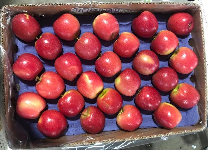 Fruitco Fuji Apple Box 13Kilo