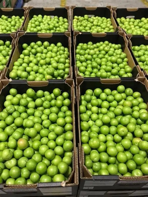 Fruitco Green Sour Plums (Janerik) Box 5Kilo