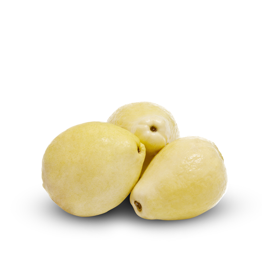 fruitco-guava-from-the-backyard