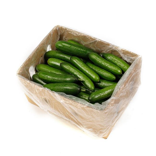 fruitco-lebanese-cucumber-box-10kilo