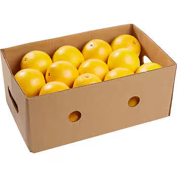 fruitco-lemon-box-6kilo