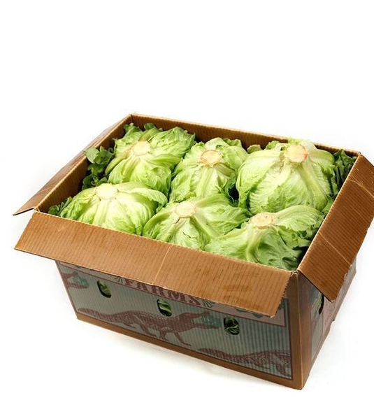 fruitco-lettuce-box-12pieces