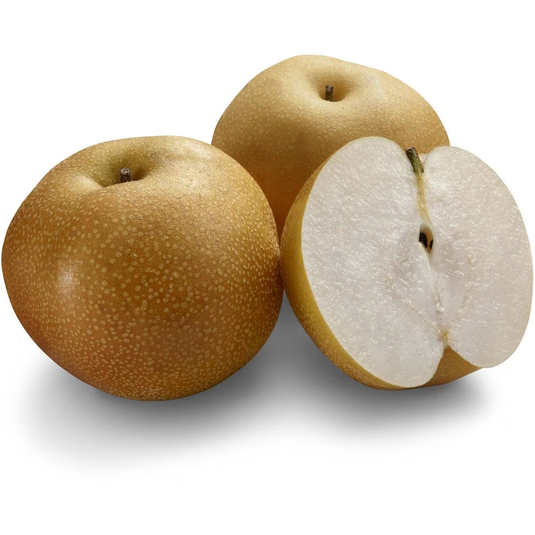 fruitco-nashi-pears