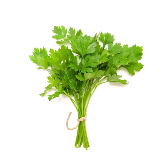 fruitco-parsley-small-bunch-1-bunch