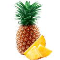 Pineapple, Kiwi Fruit, Exotic Fruits & Tropical Fruits