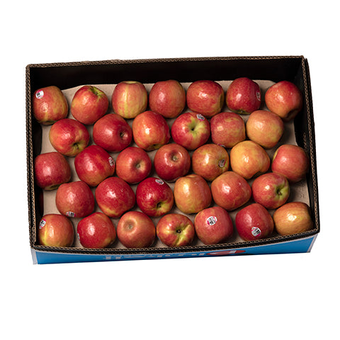 Fruitco Pink Lady Apple Box 13Kilo