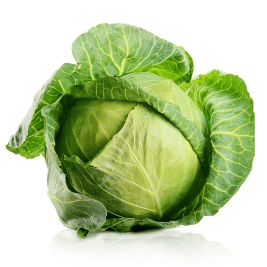 fruitco-plain-cabbage-1-each