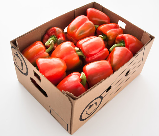 fruitco-red-capsicum-box-8kilo