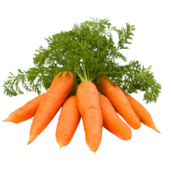 Carrots, Radish & Other Root Vegetables