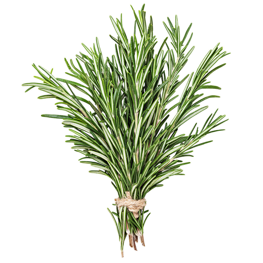 fruitco-rosemary-1-bunch
