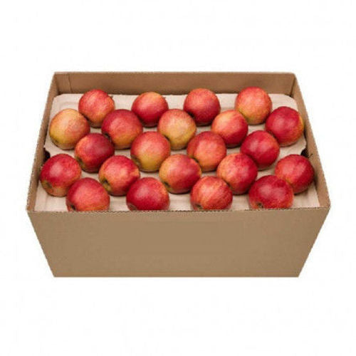 Fruitco Royal Gala Apple Box 13Kilo