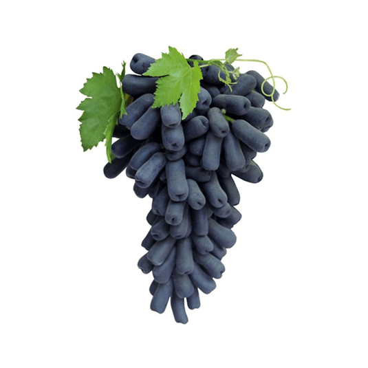 fruitco-sapphire-grapes-seedless