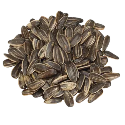 Seeds