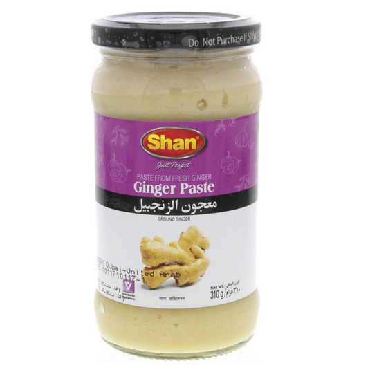 fruitco-shaan-ginger-paste-310g-1-each