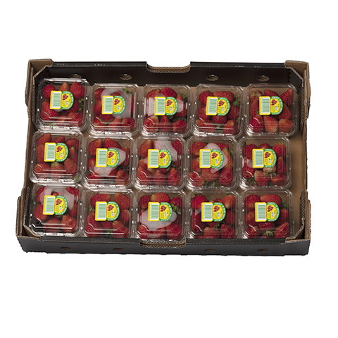 fruitco-strawberry-tray-15-x-250g