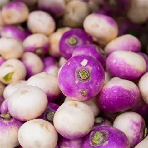 Fruitco Turnip Bag 10Kilo