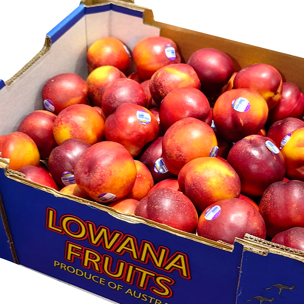 Fruitco Yellow Nectarines Odd Pick Box 10Kilo