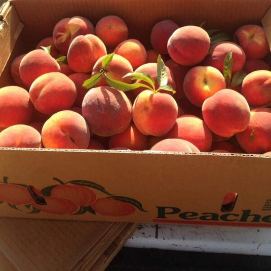 Fruitco Yellow Peaches Odd Pick Box 10Kilo